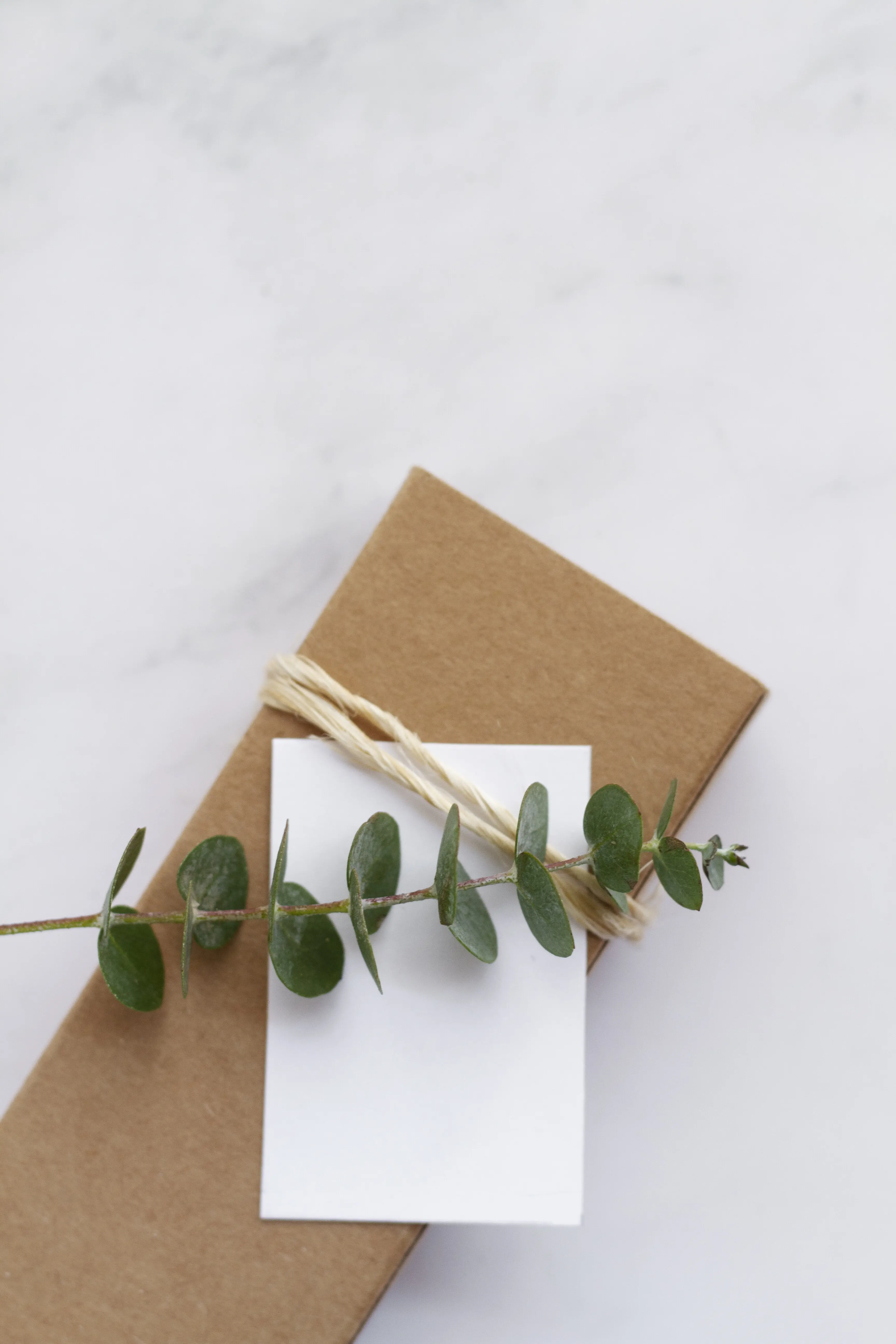 Eleganter Hintergrund mit Eukalyptus