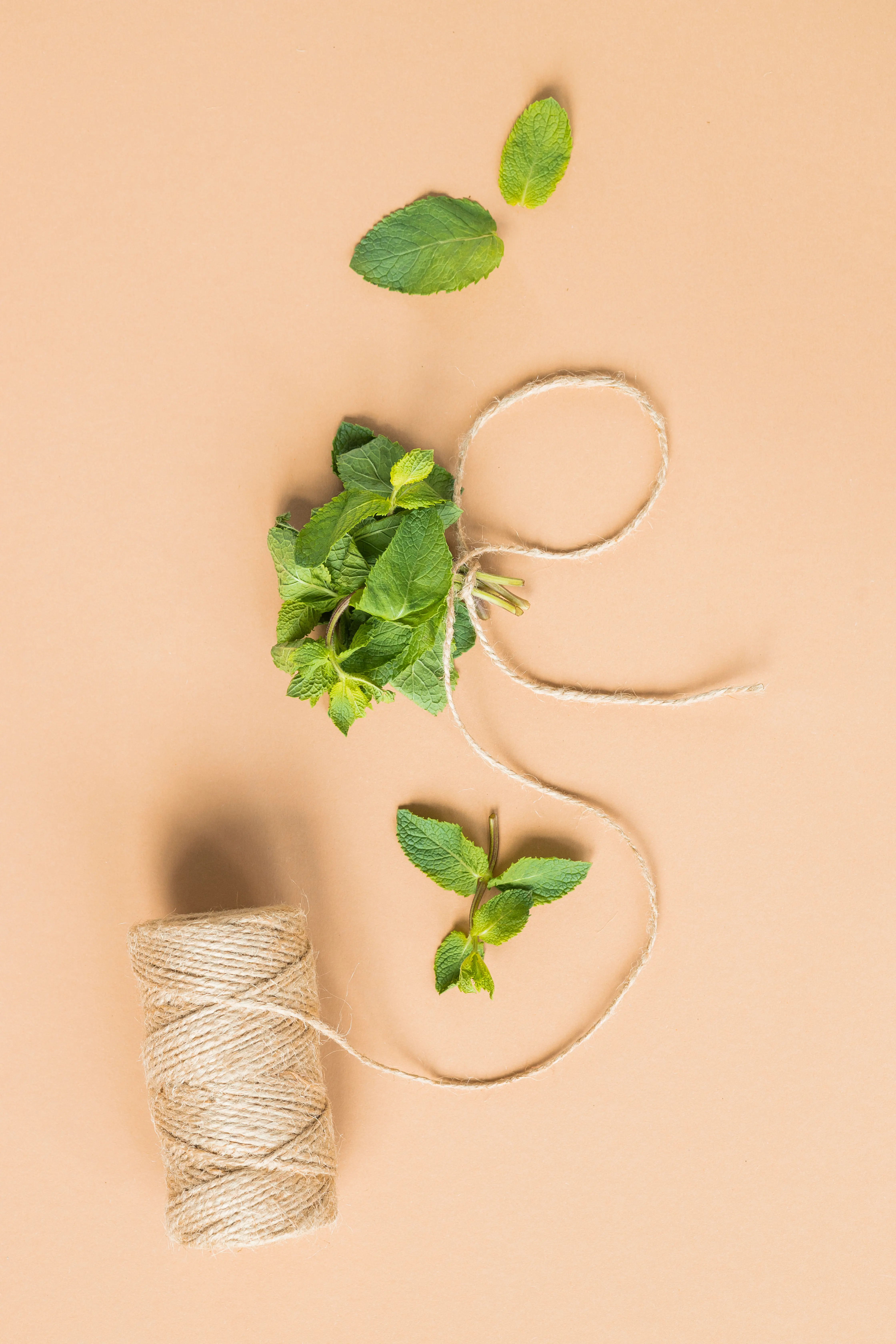 Frische grüne Minzblätter auf beigem Hintergrund, Flatlay, mit Platz für Text.