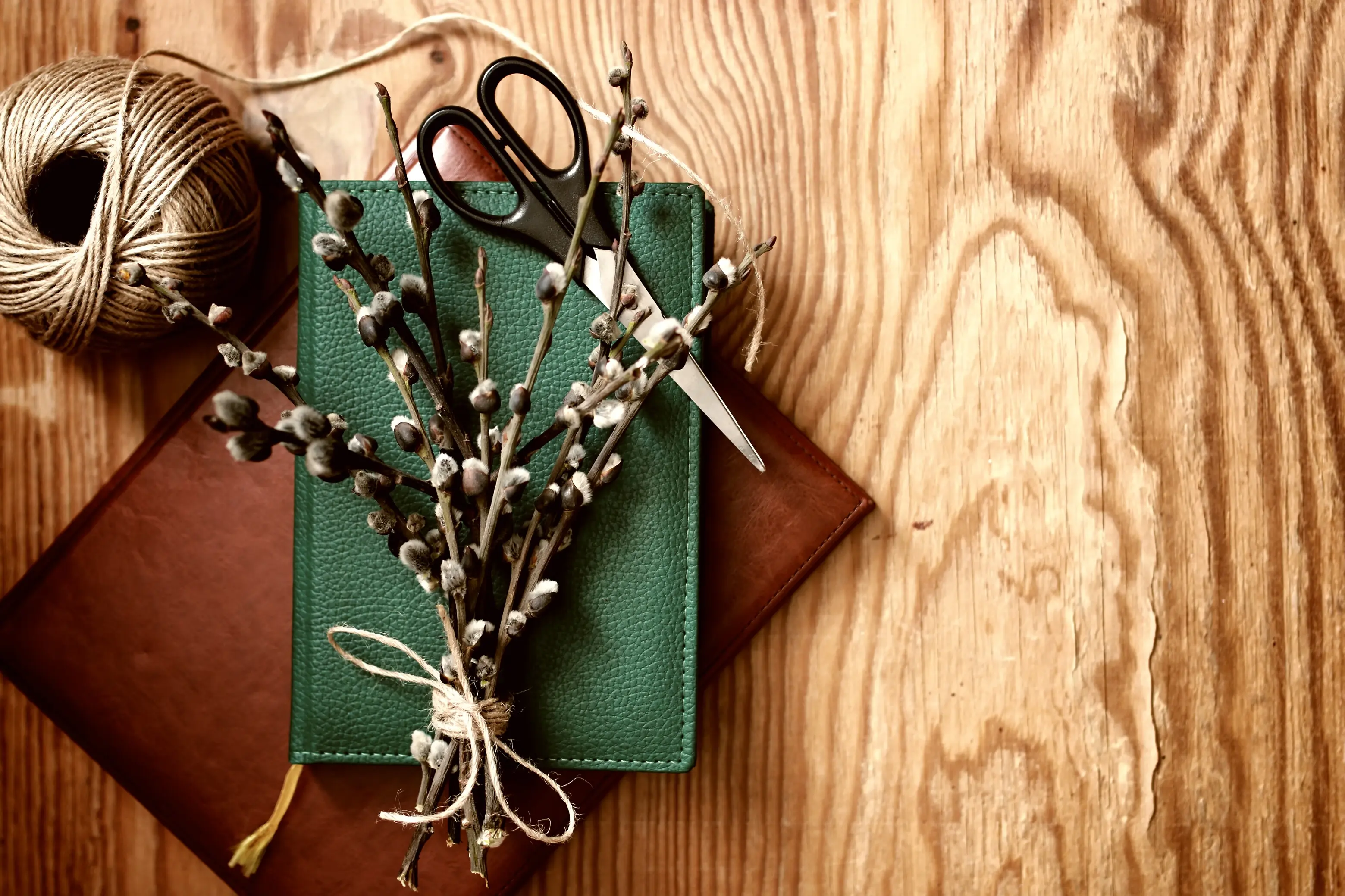 Getönte Weidenzweige auf dem Buch